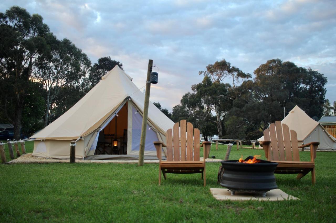 Pine Country Caravan Park Mount Gambier Extérieur photo