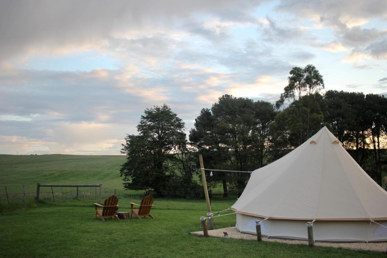 Pine Country Caravan Park Mount Gambier Extérieur photo