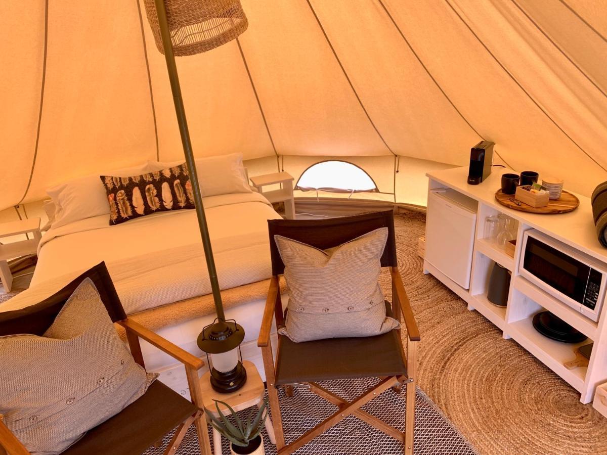 Pine Country Caravan Park Mount Gambier Extérieur photo