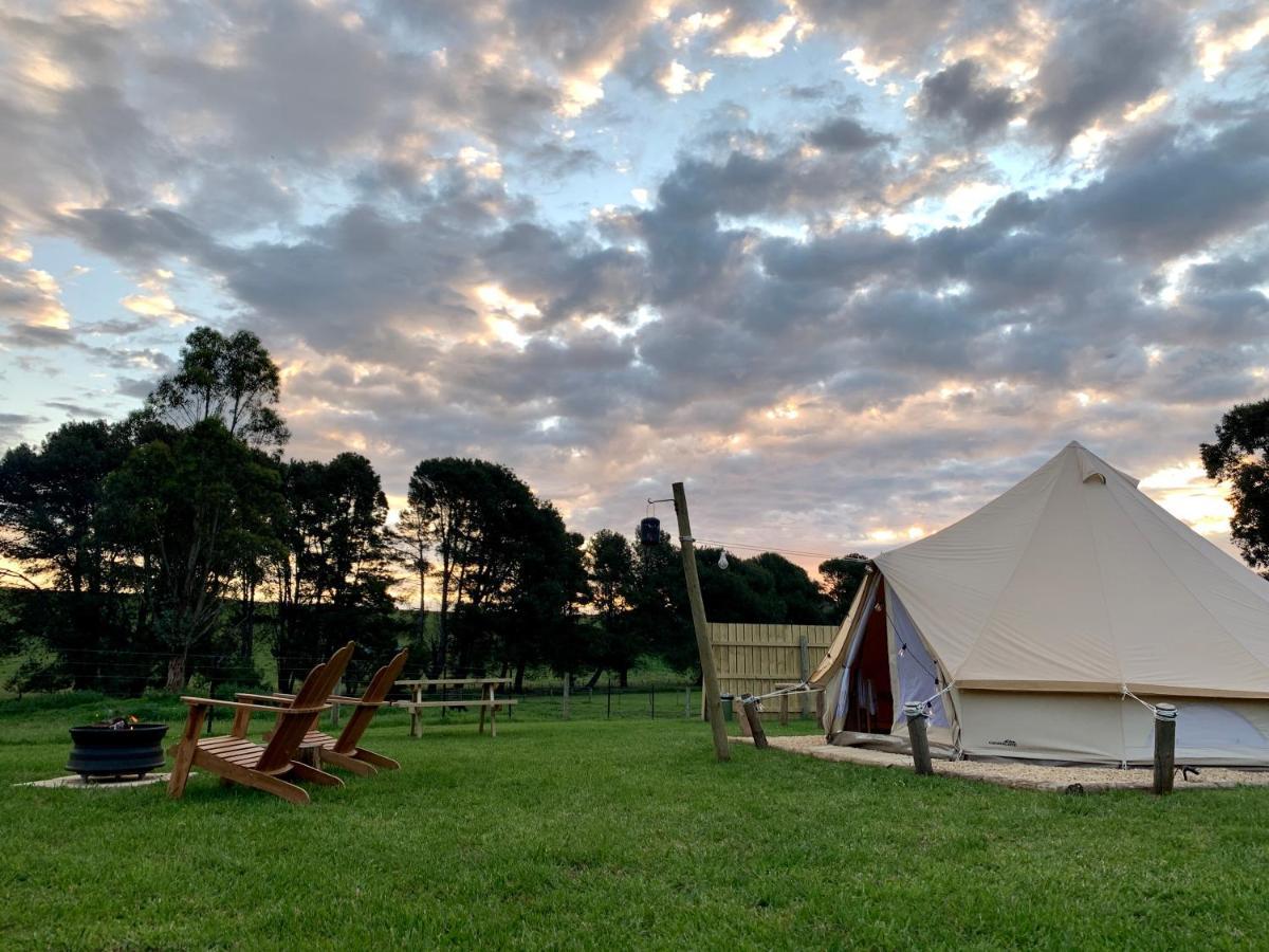 Pine Country Caravan Park Mount Gambier Extérieur photo