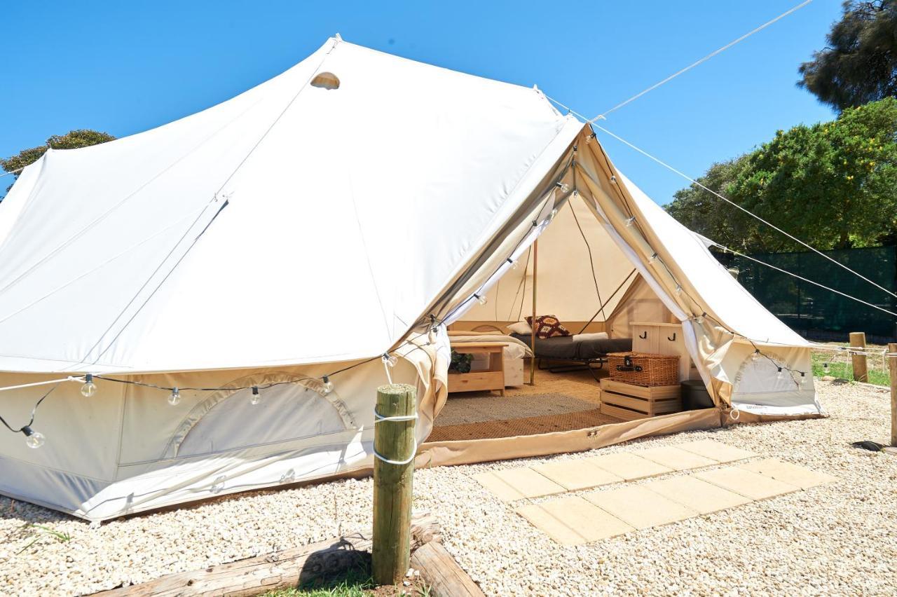 Pine Country Caravan Park Mount Gambier Extérieur photo